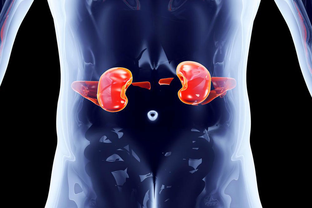 Effective measures to prevent kidney disorders